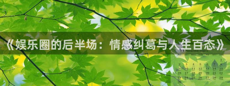 优游国际官网下载：《娱乐圈的后半场：情感纠葛与人生百态》