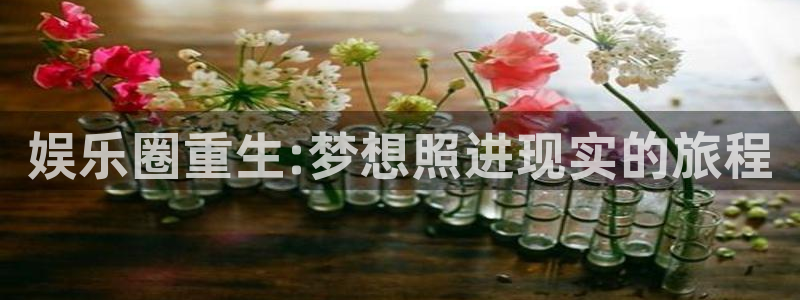 优游国际官网客服电话：娱乐圈重生:梦想照进现实的旅程